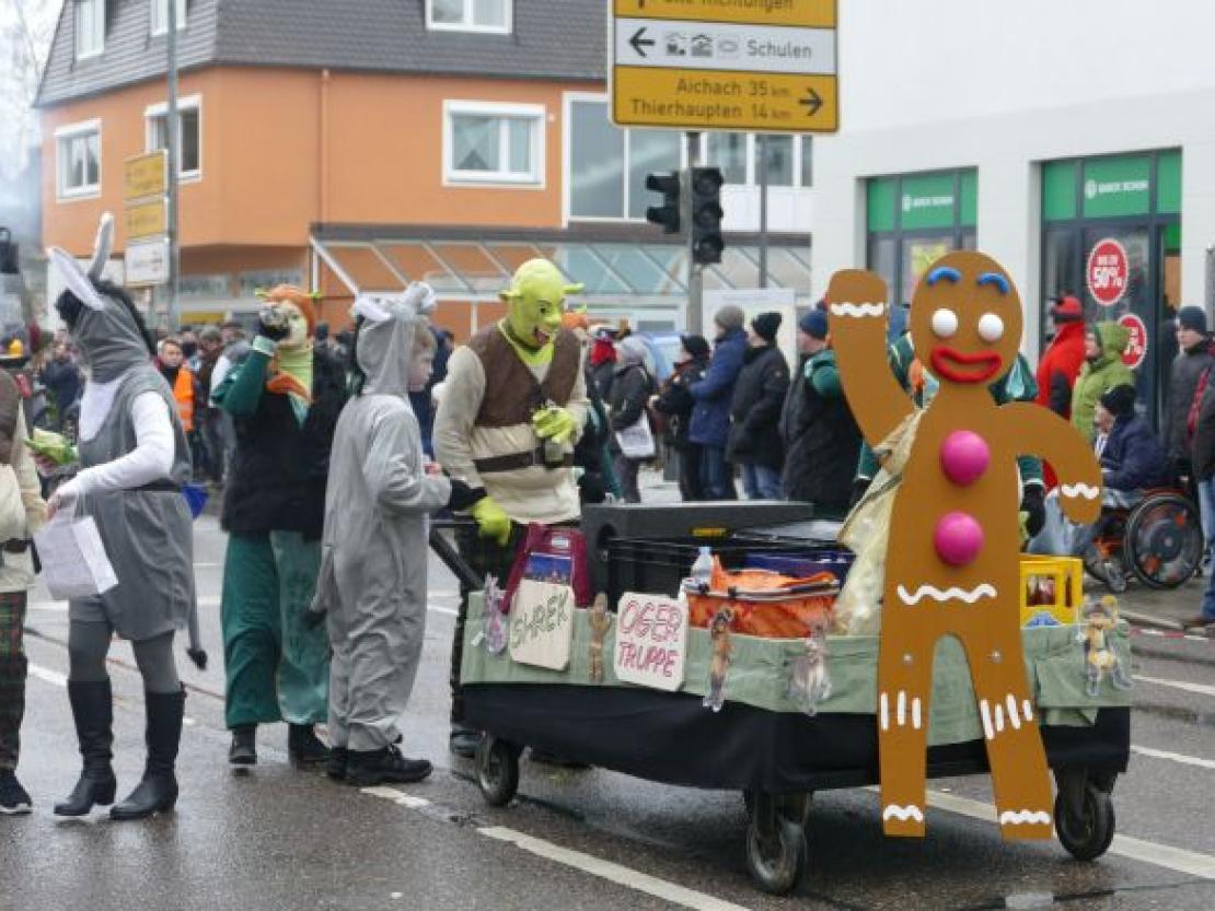 Faschingsumzug Rain 2018@Jenny Wagner0092