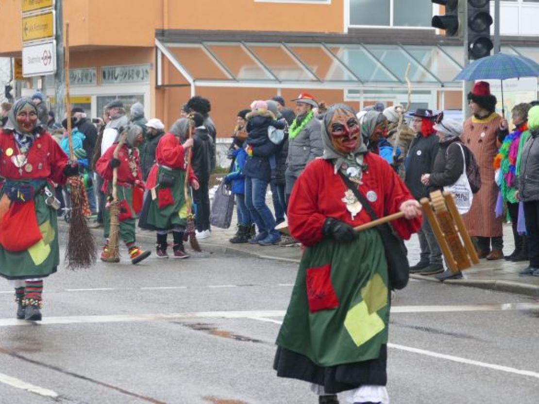 Faschingsumzug Rain 2018@Jenny Wagner0003