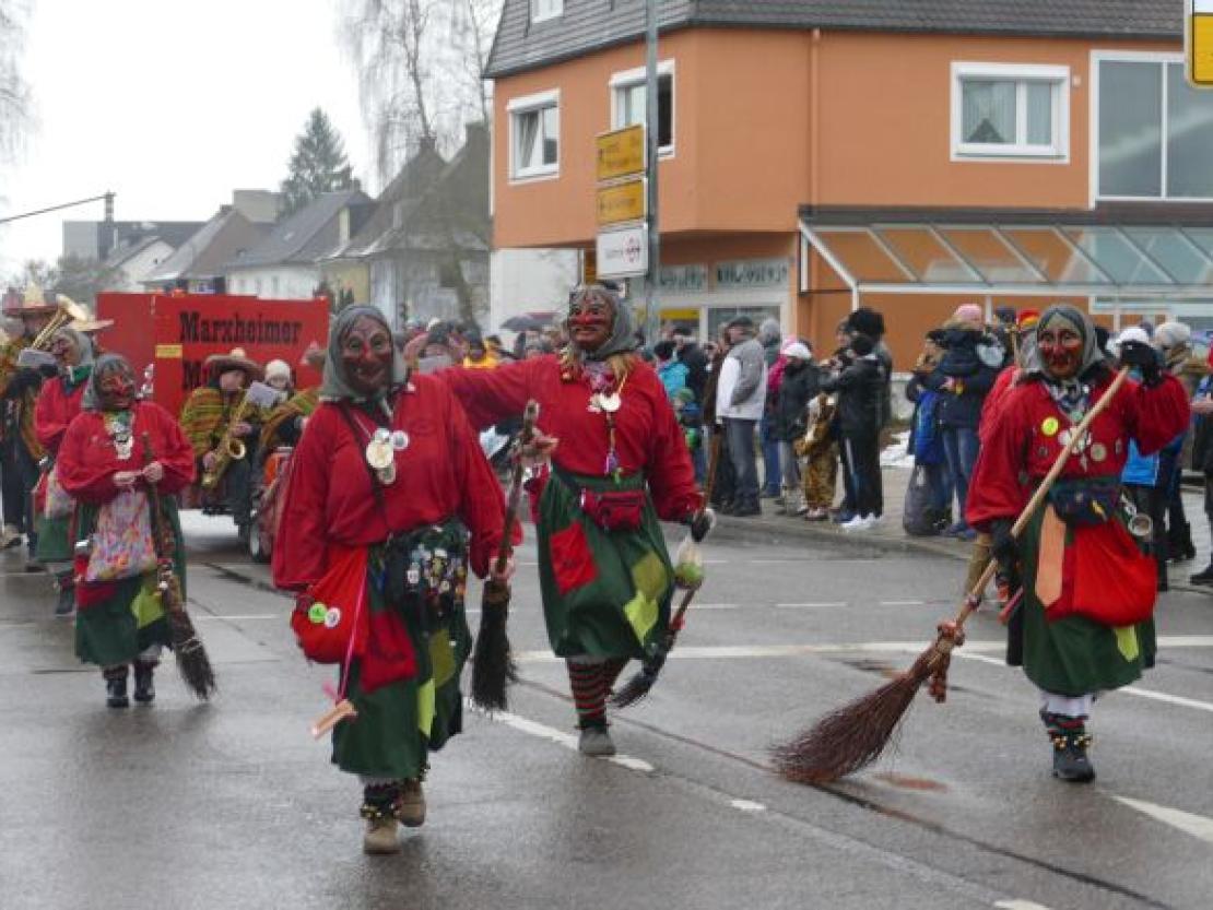 Faschingsumzug Rain 2018@Jenny Wagner0004