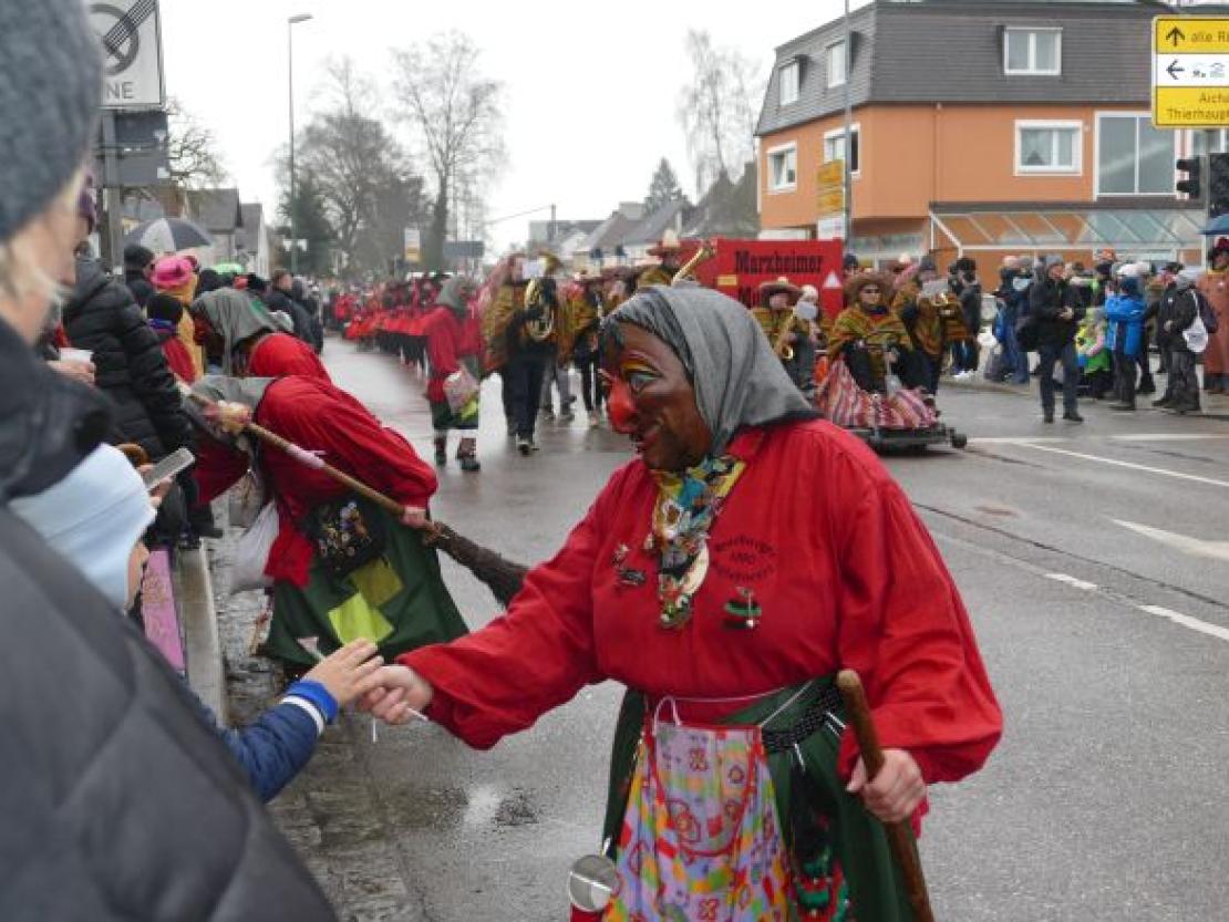 Faschingsumzug Rain 2018@Jenny Wagner0005
