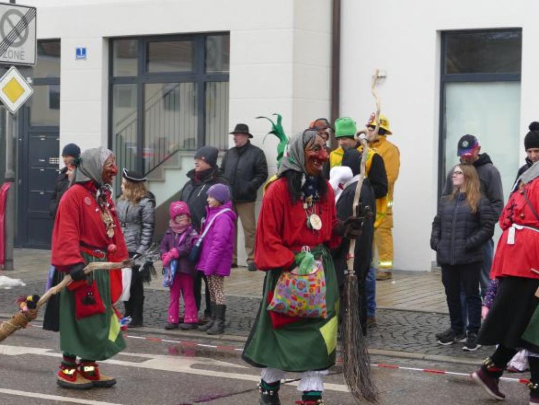 Faschingsumzug Rain 2018@Jenny Wagner0006