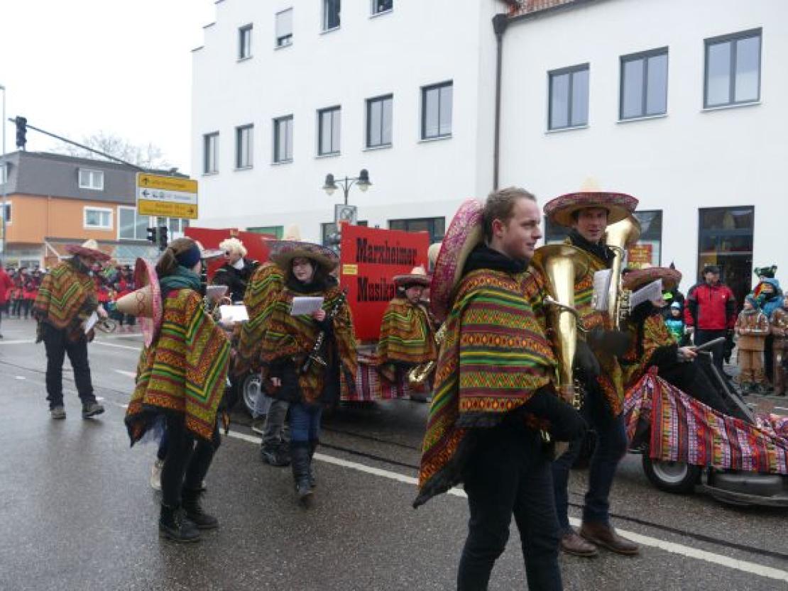 Faschingsumzug Rain 2018@Jenny Wagner0008