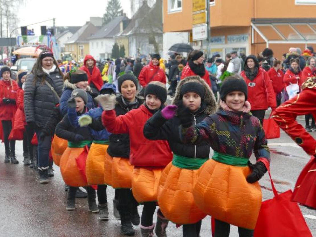 Faschingsumzug Rain 2018@Jenny Wagner0015