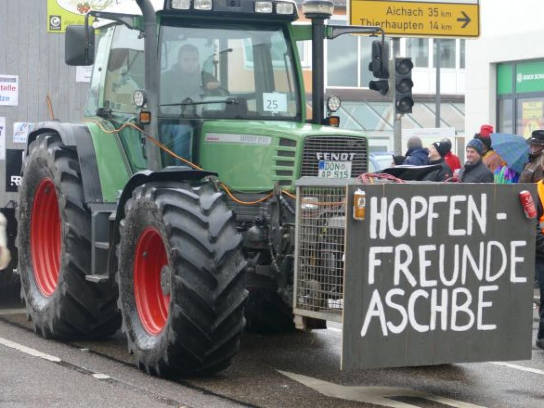 Faschingsumzug Rain 2018@Jenny Wagner0094