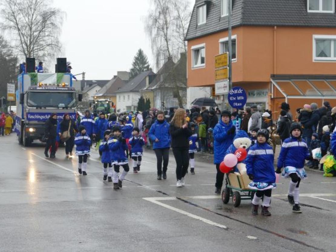Faschingsumzug Rain 2018@Jenny Wagner0021