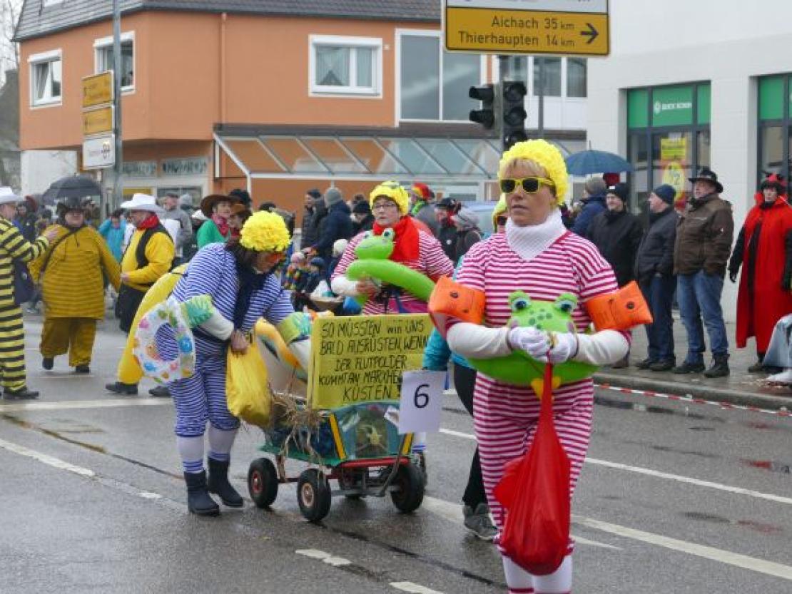 Faschingsumzug Rain 2018@Jenny Wagner0032