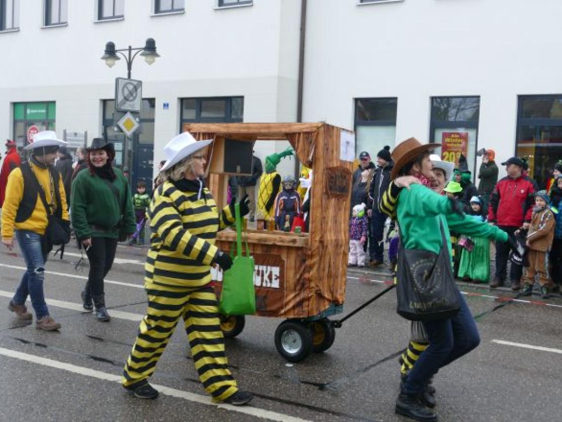 Faschingsumzug Rain 2018@Jenny Wagner0035