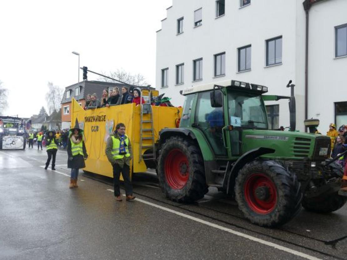 Faschingsumzug Rain 2018@Jenny Wagner0041