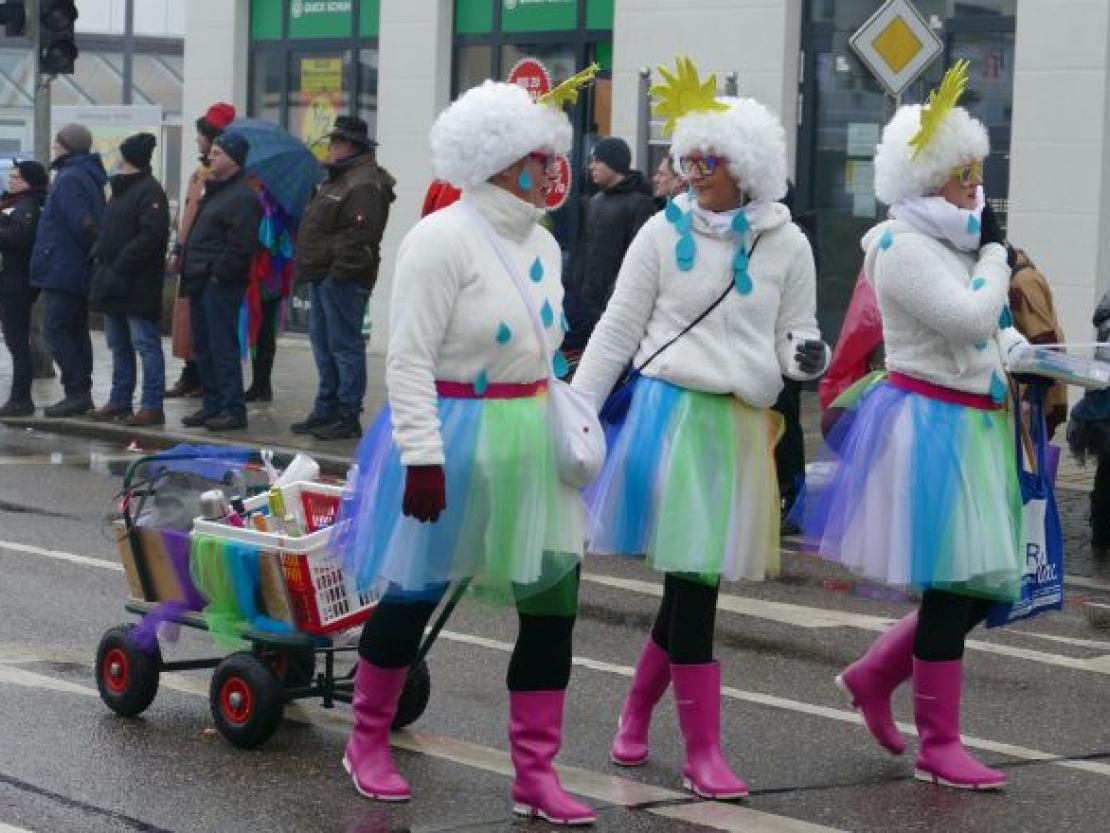 Faschingsumzug Rain 2018@Jenny Wagner0096