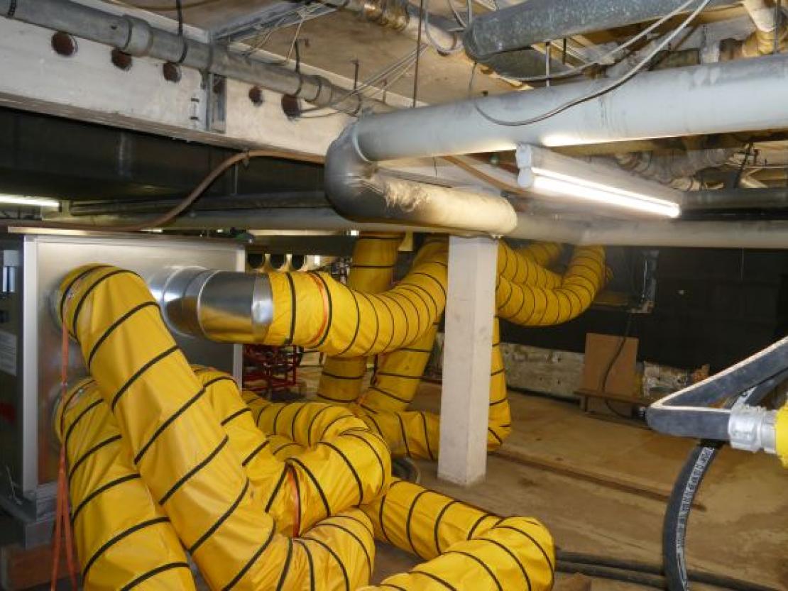 Almarin@JennyWagnerr0007