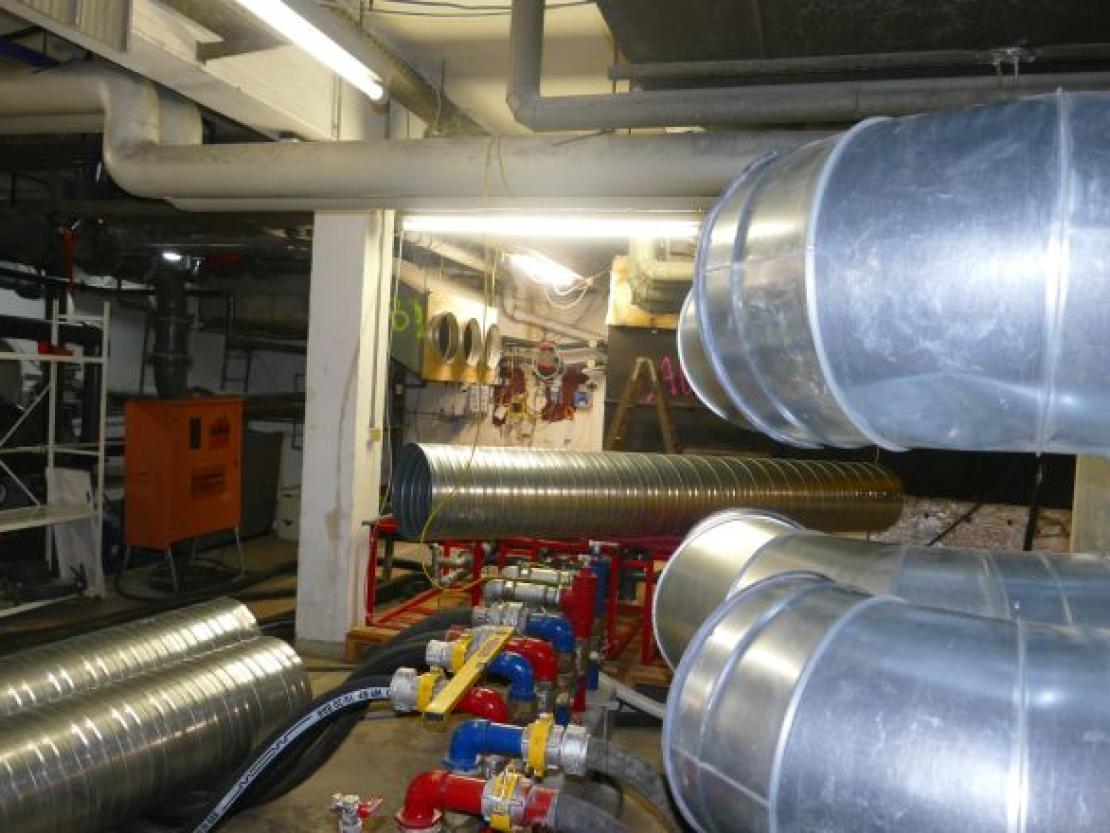 Almarin@JennyWagnerr0008