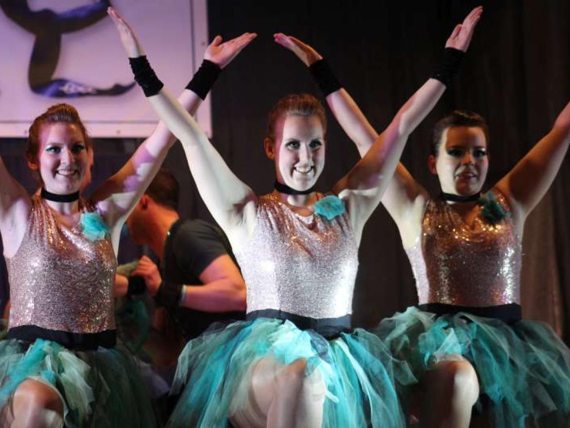 Showtanznacht Bäumenheim 2018 @MS 354