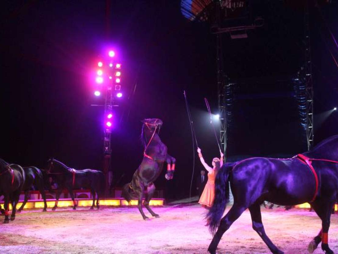 Zirkus Krone 2018 145