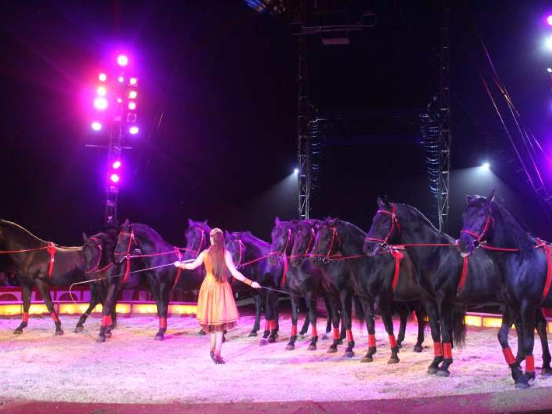 Zirkus Krone 2018 157