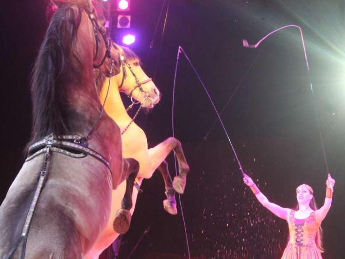 Zirkus Krone 2018 167