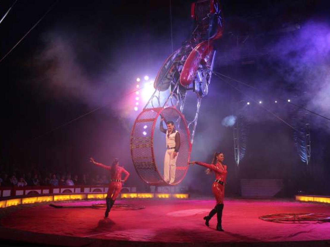 Zirkus Krone 2018 177