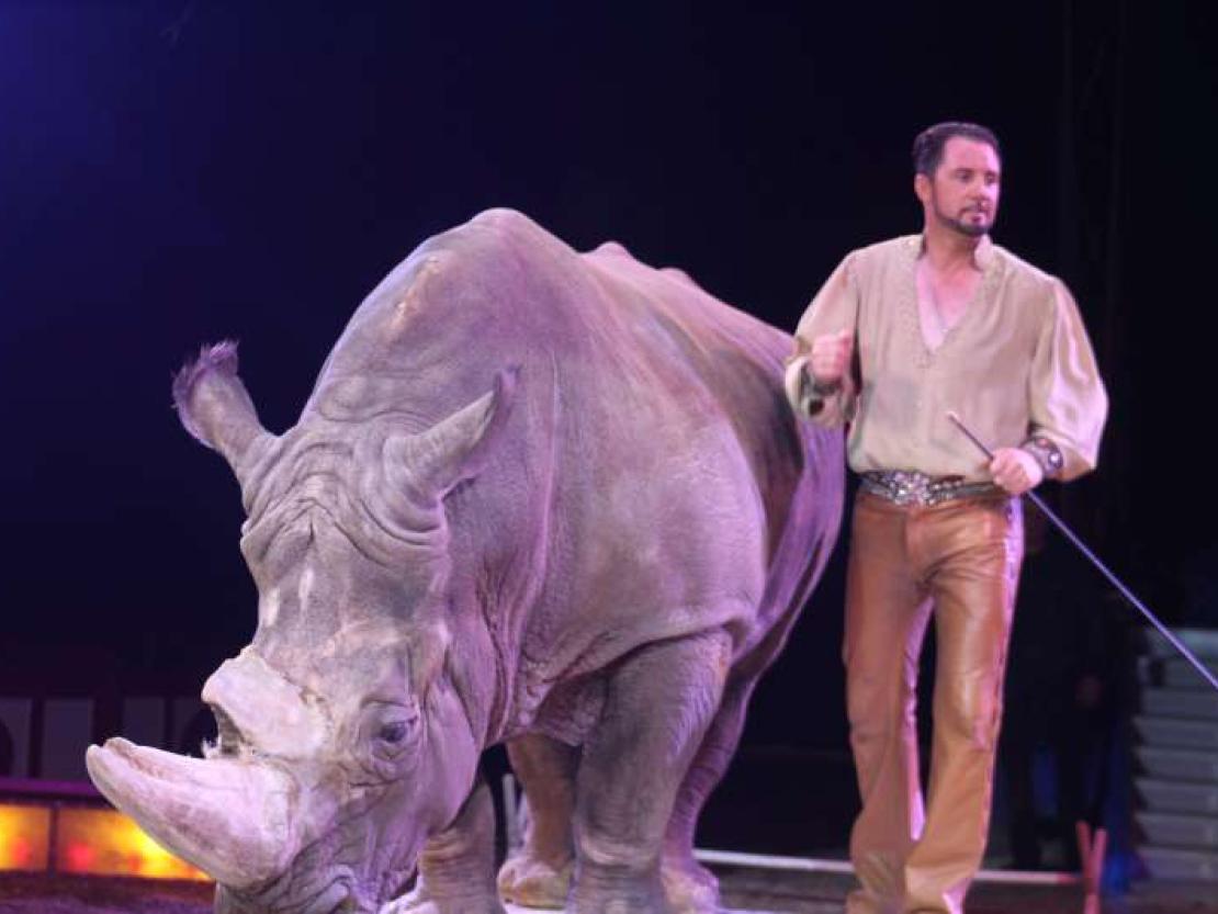 Zirkus Krone 2018 275