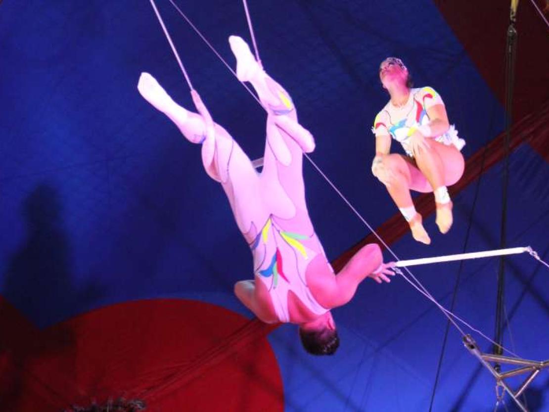 Zirkus Krone 2018 377