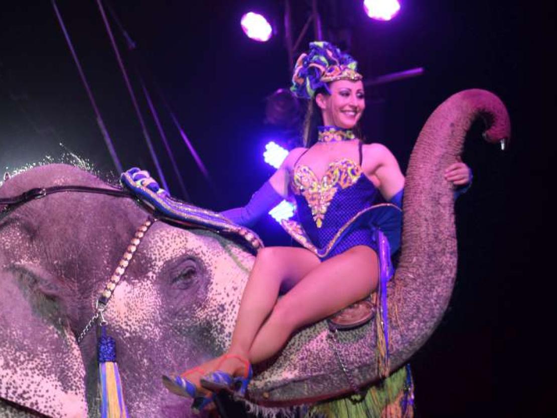 Zirkus Krone 2018 034