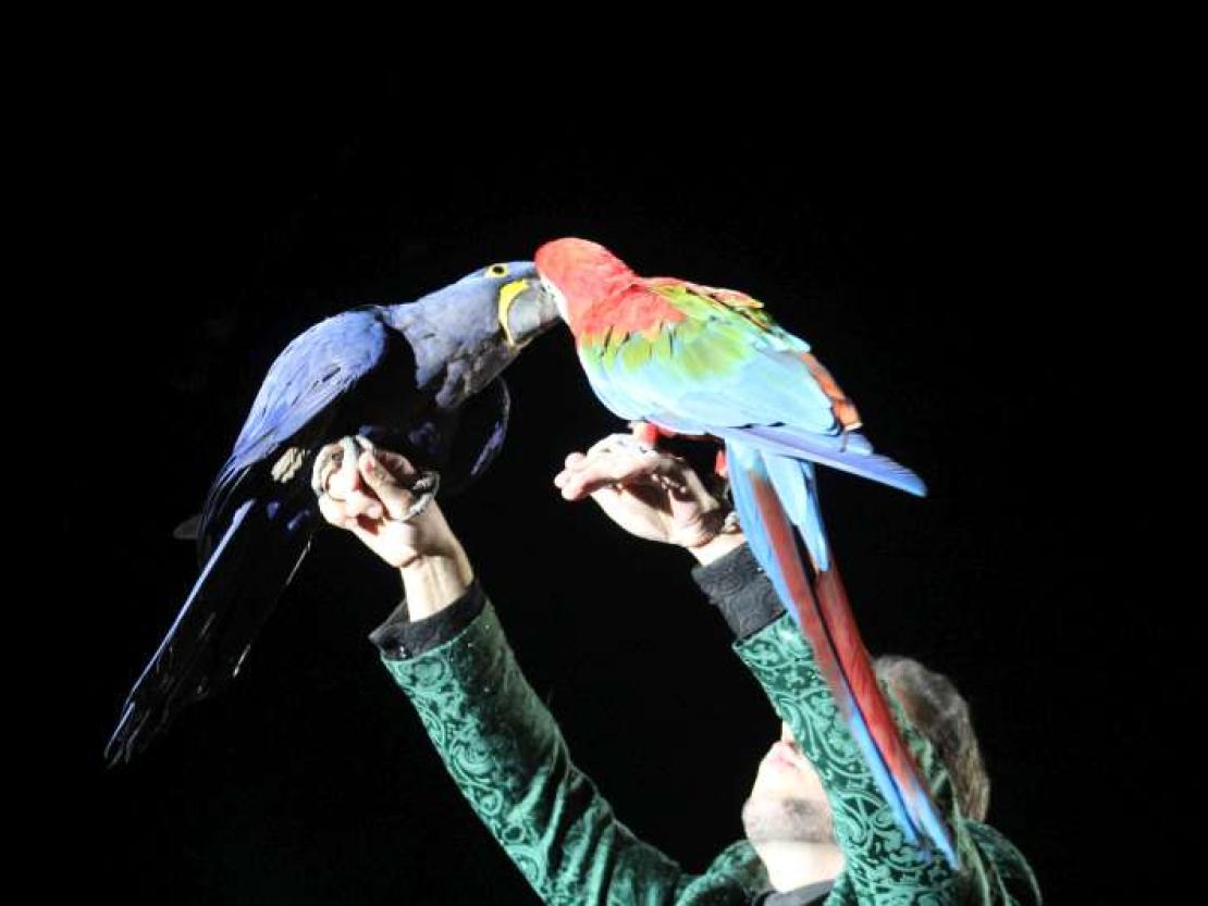 Zirkus Krone 2018 050