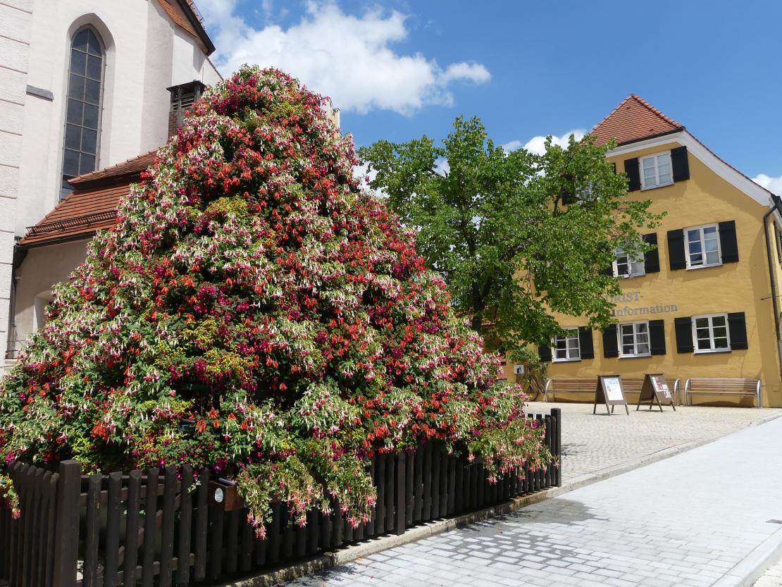 5E09D37D-0F56-490F-ACFE-9132EFAE5F8D