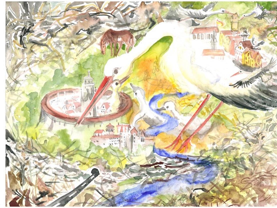 eva-maria_ich_in_und_um_oettingen_meine_heimat_in_den_natur_und_dem_zuzuh_der_stoerche_gefunden_habe