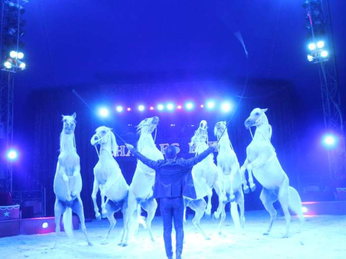Zirkus Charles Knie 2018 082