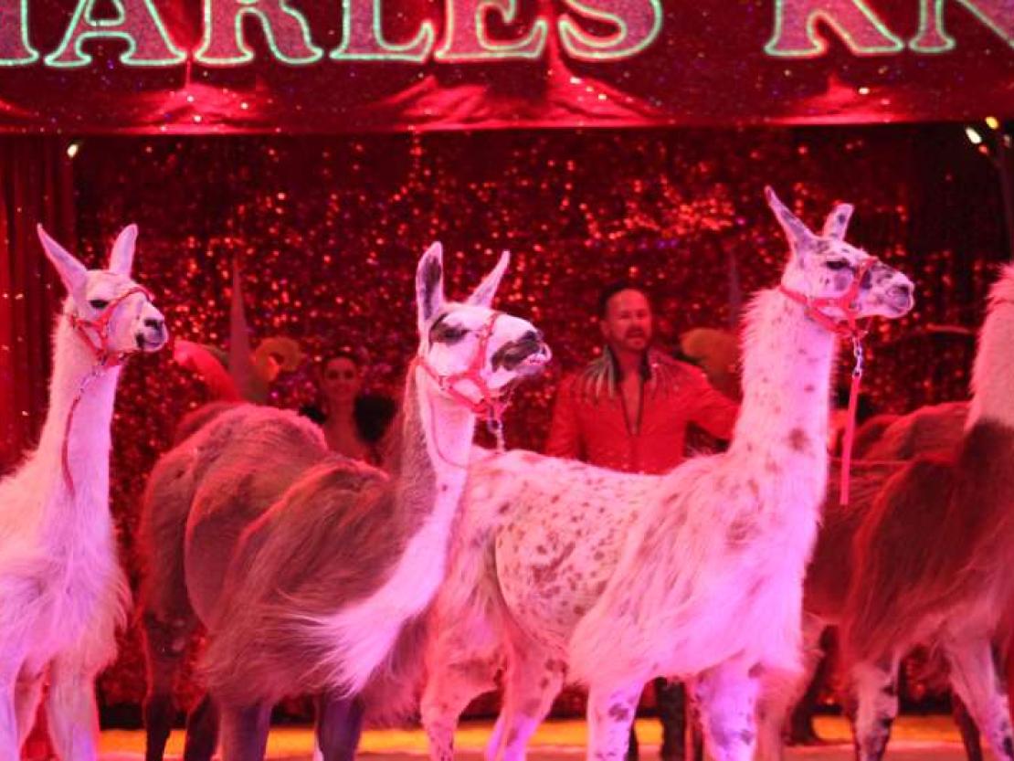 Zirkus Charles Knie 2018 028