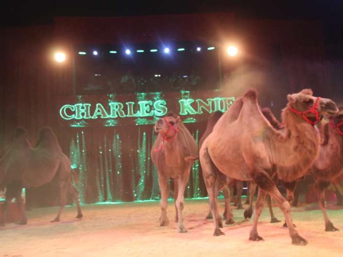 Zirkus Charles Knie 2018 014