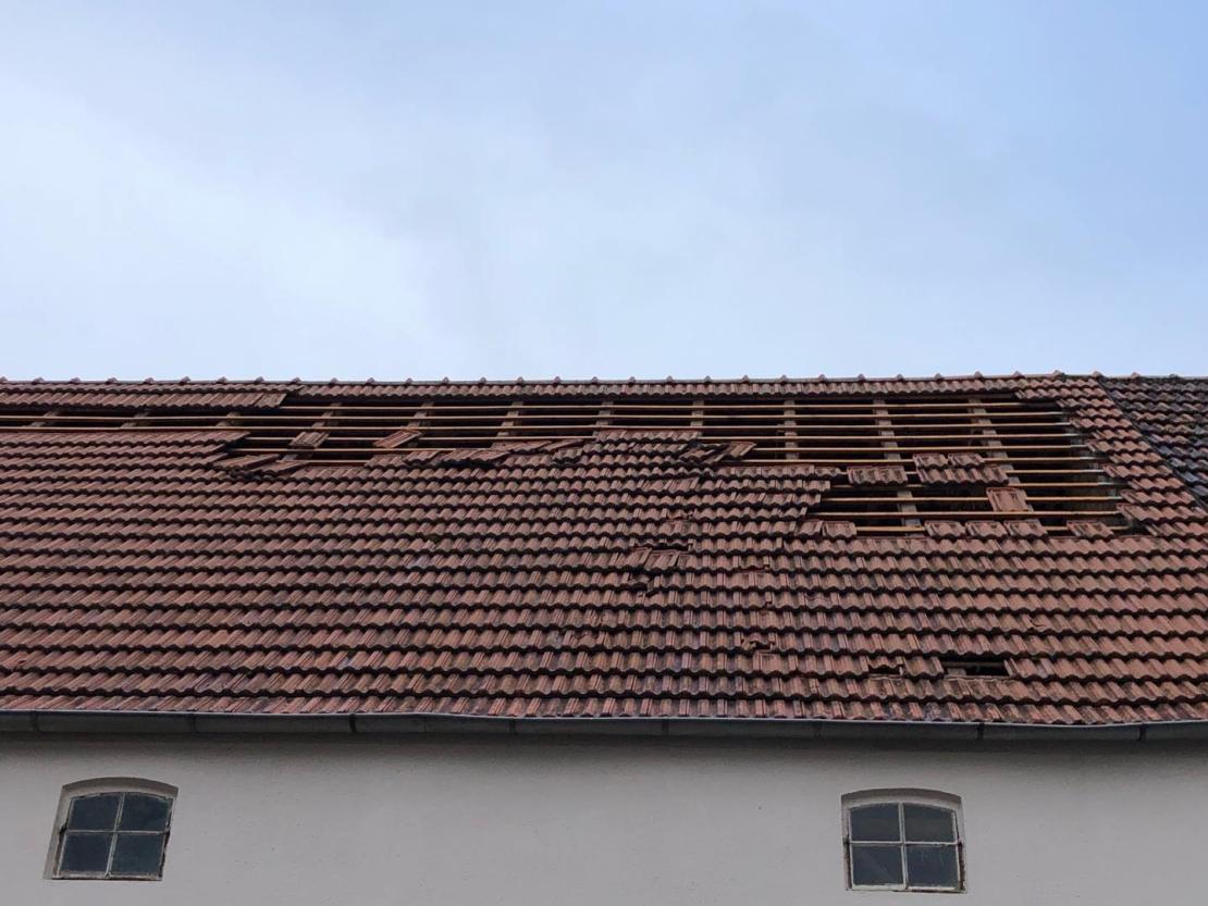 47323828_261076647906842_8903094895367946240_n