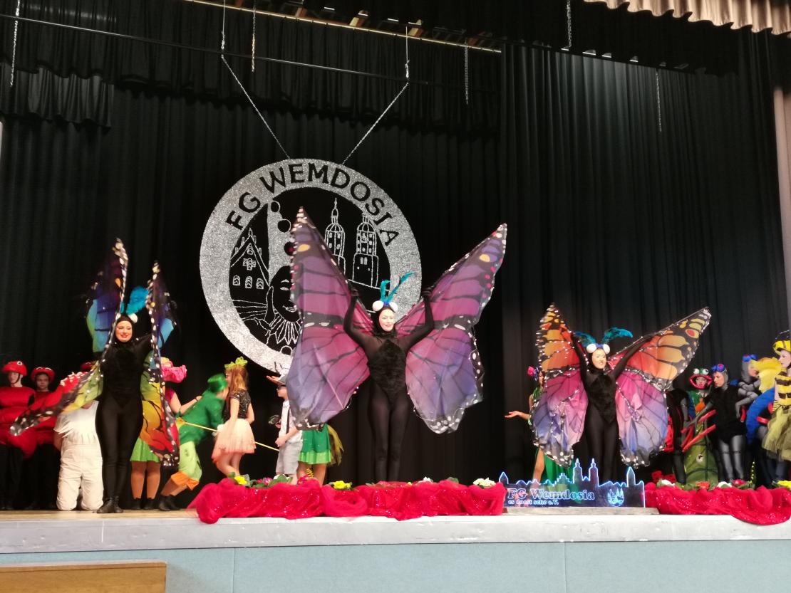 Gardetreffen Wemding - Mottoformation Bäumenheim 1