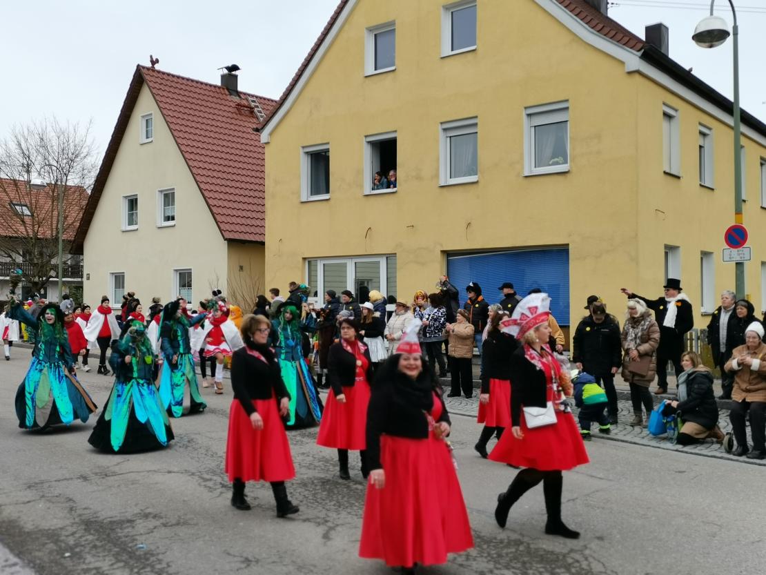 Faschingsumzug Mertingen 2019