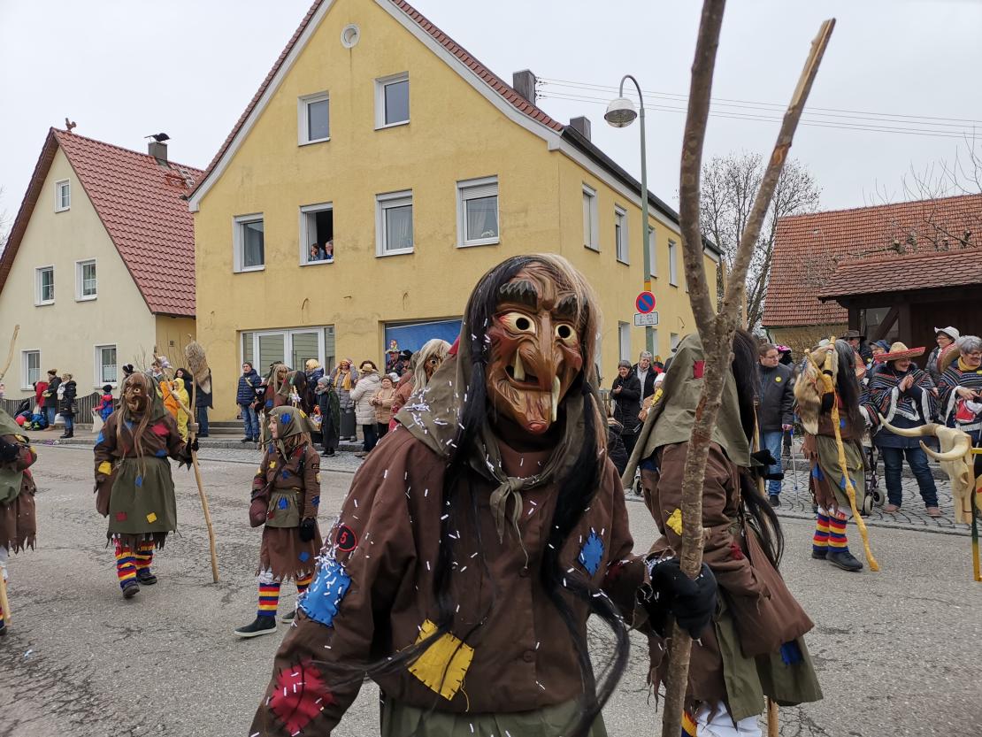 Faschingsumzug Mertingen 2019