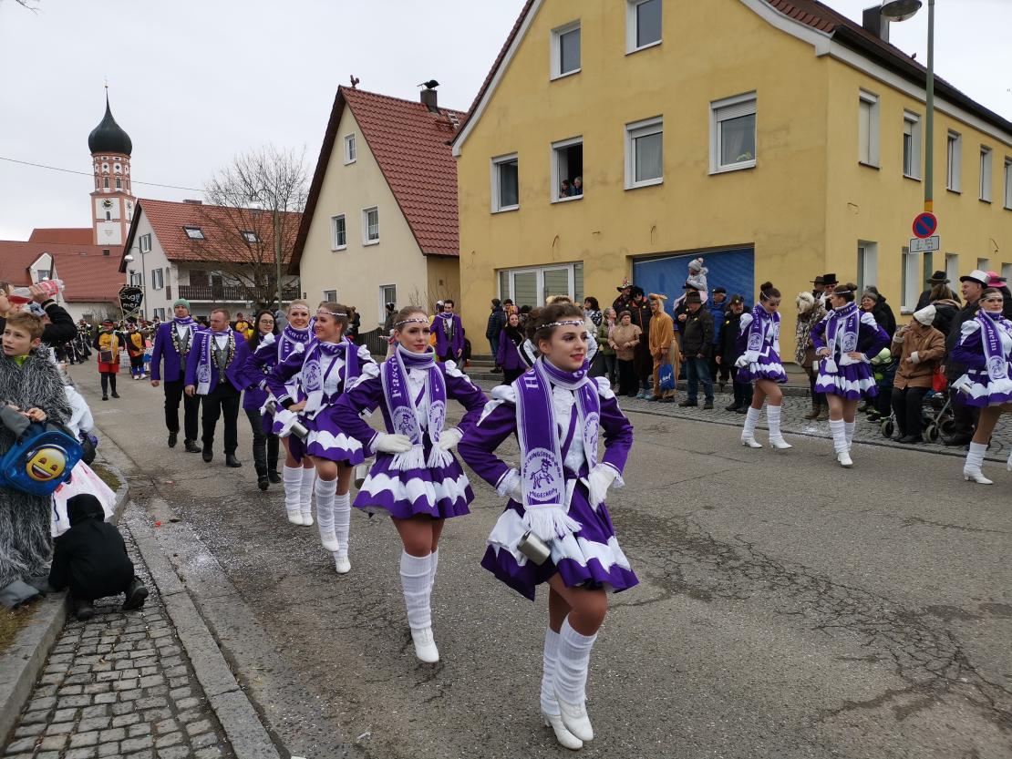 Faschingsumzug Mertingen 2019