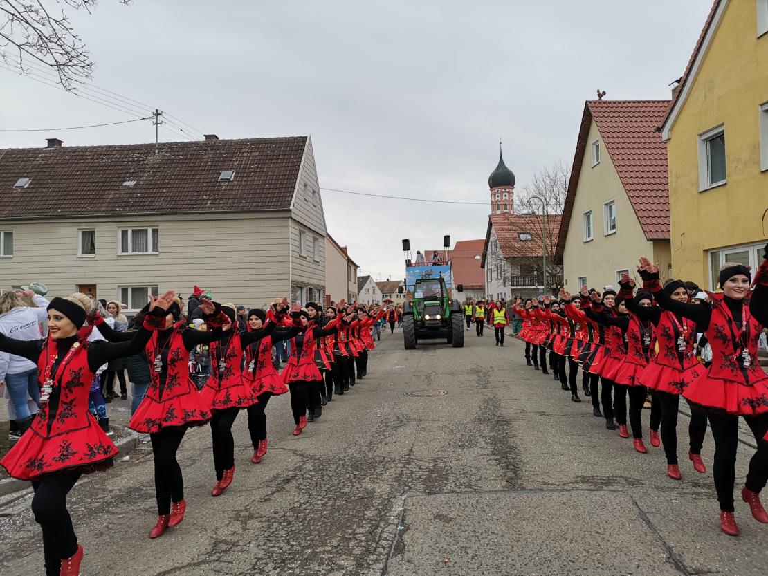 Faschingsumzug Mertingen 2019