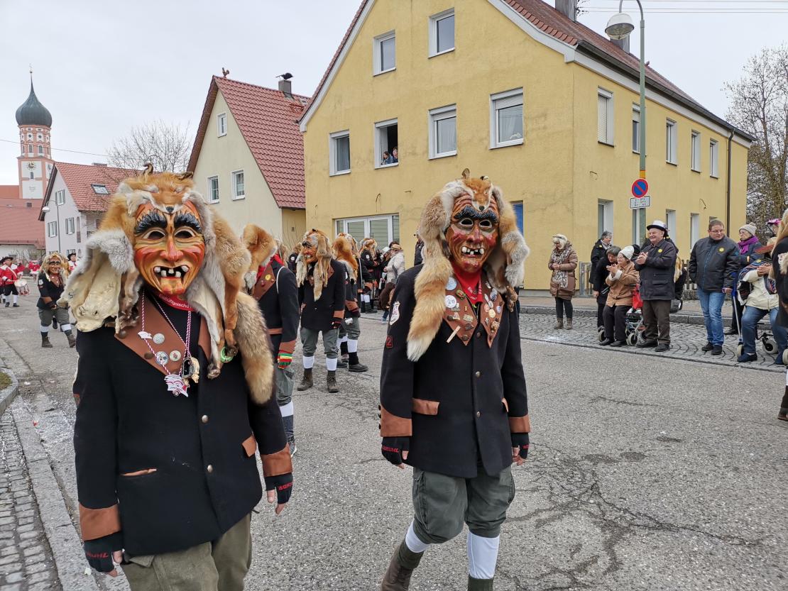 Faschingsumzug Mertingen 2019