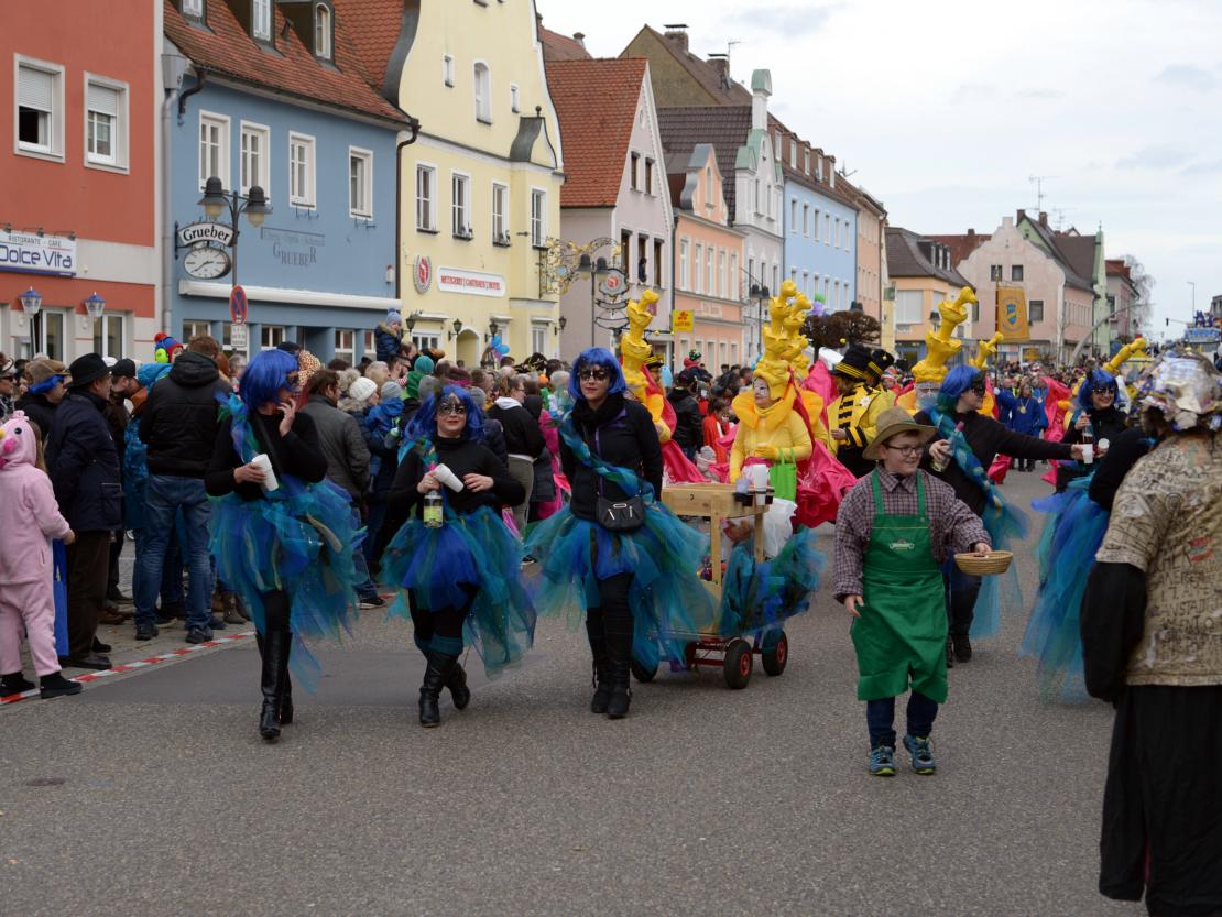 Faschingsumzug Rain 2019