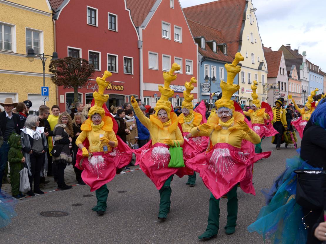 Faschingsumzug Rain 2019