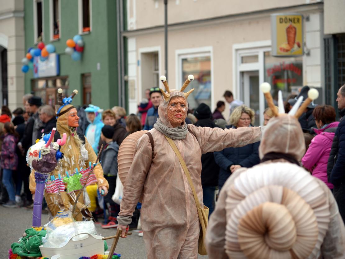 Faschingsumzug Rain 2019
