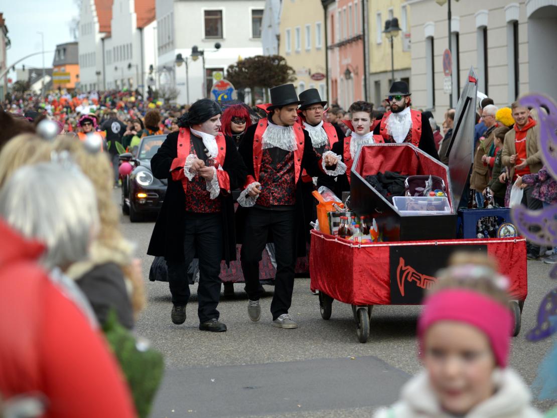 Faschingsumzug Rain 2019