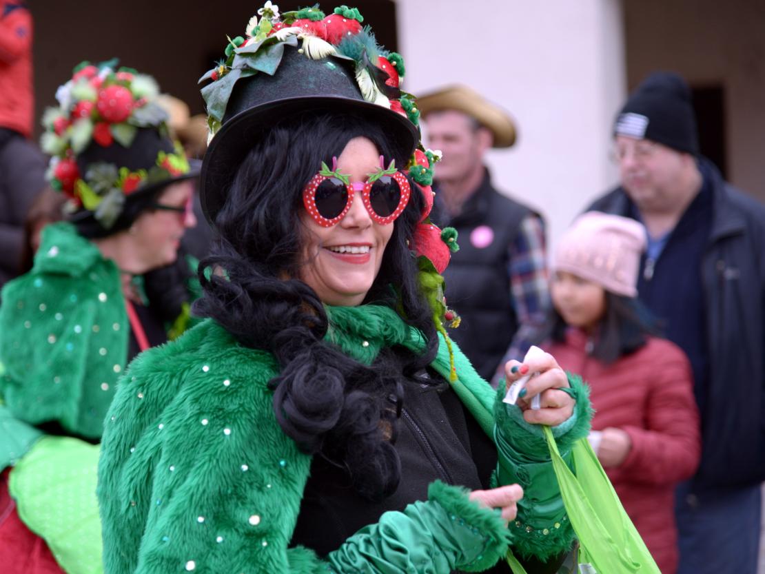 Faschingsumzug Rain 2019