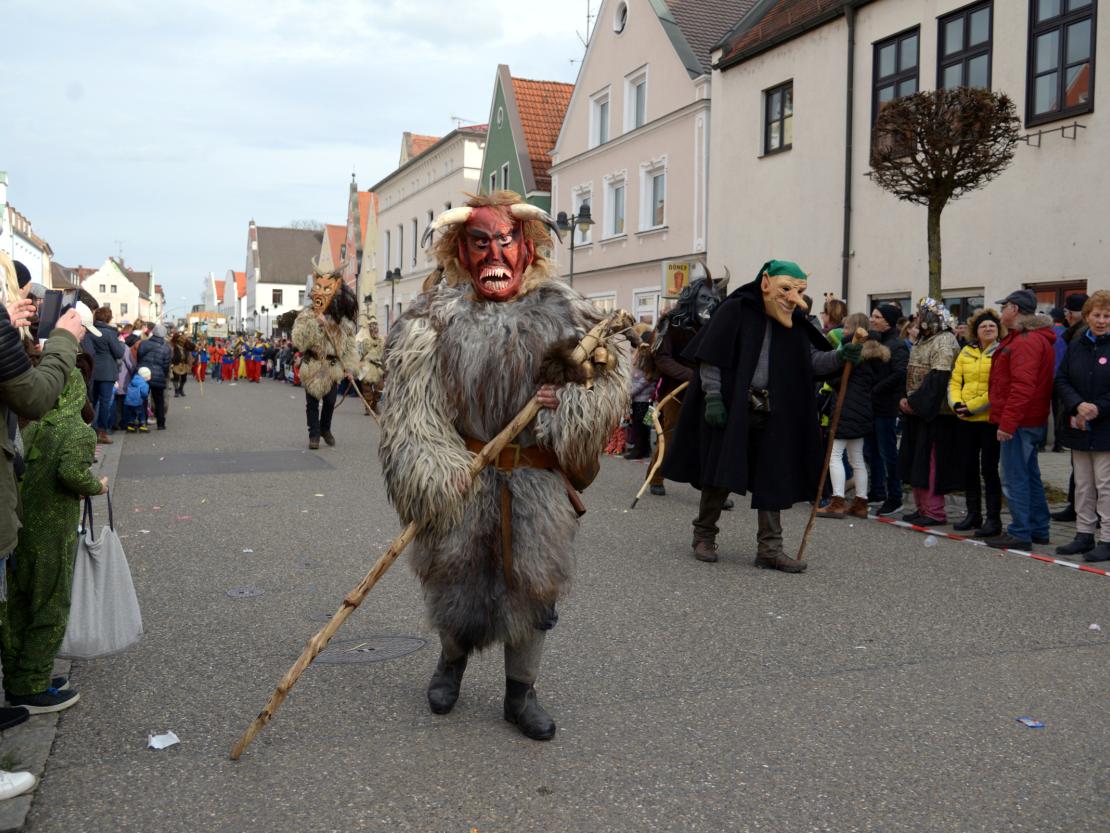 Faschingsumzug Rain 2019
