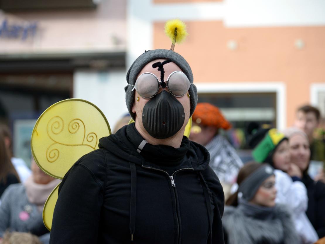 Faschingsumzug Rain 2019