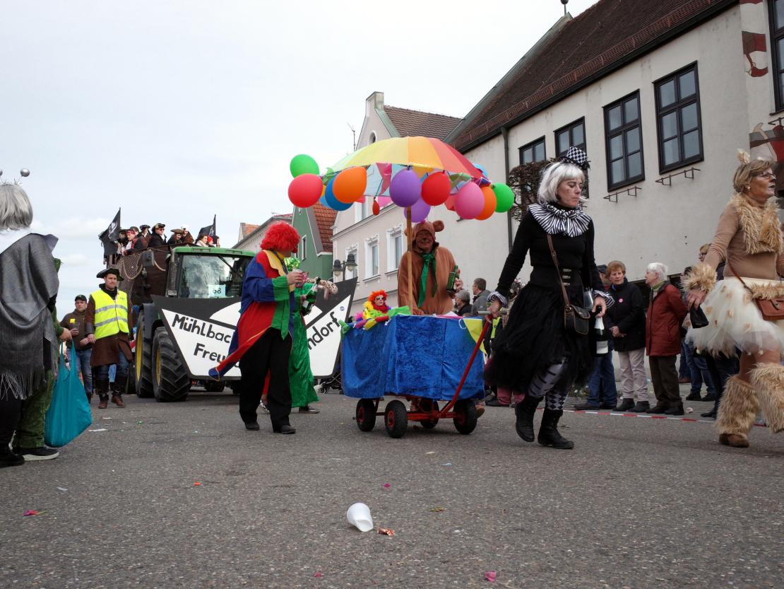 Faschingsumzug Rain 2019