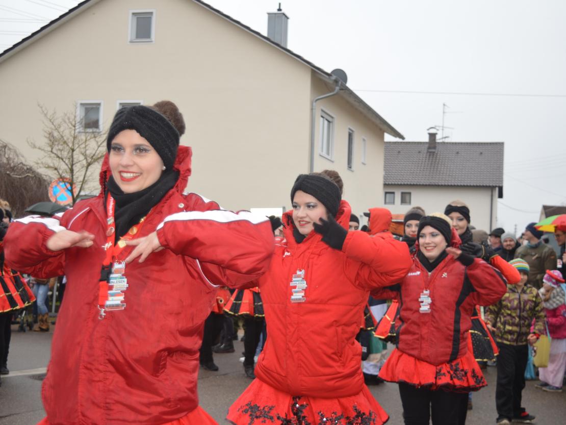 Faschingsumzug Oberndorf 