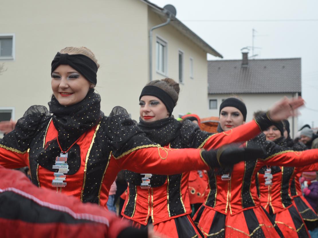 Faschingsumzug Oberndorf 