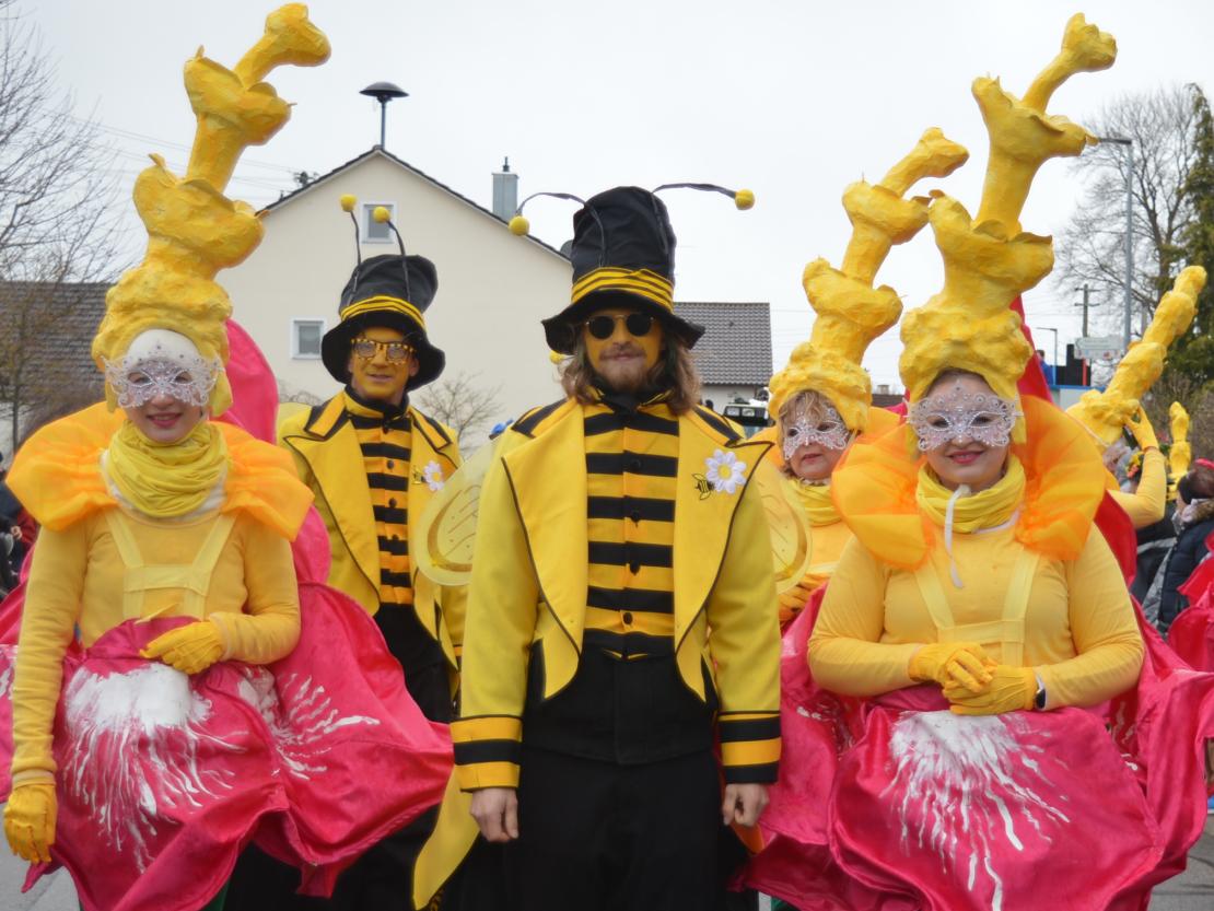 Faschingsumzug Oberndorf 2019
