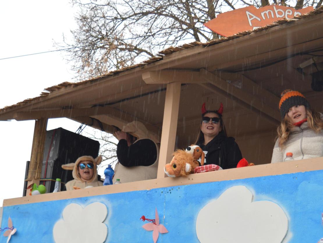 Faschingsumzug Oberndorf 2019