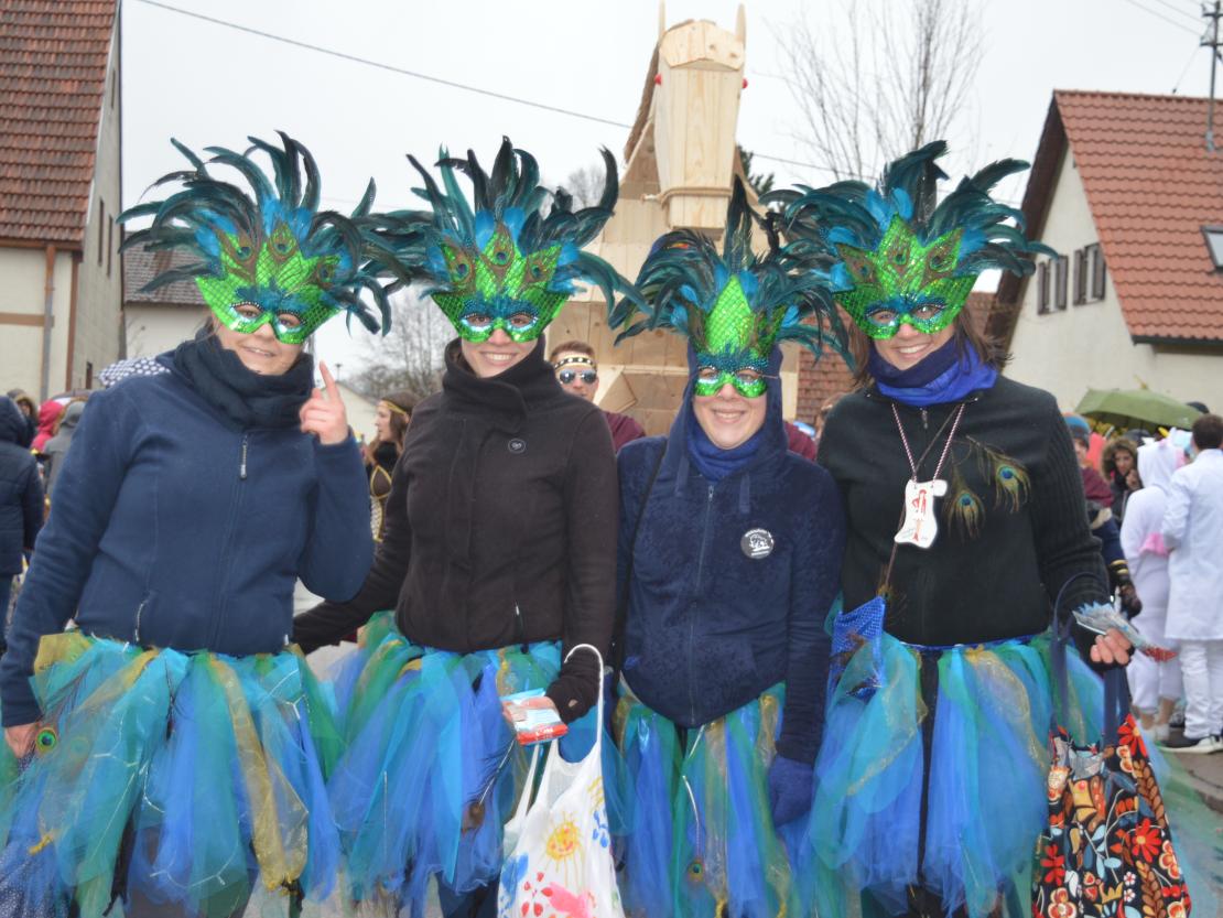 Faschingsumzug Oberndorf 2019