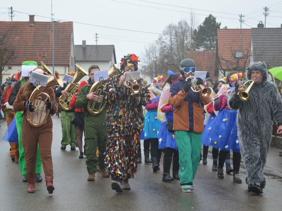 Faschingsumzug Oberndorf 2019